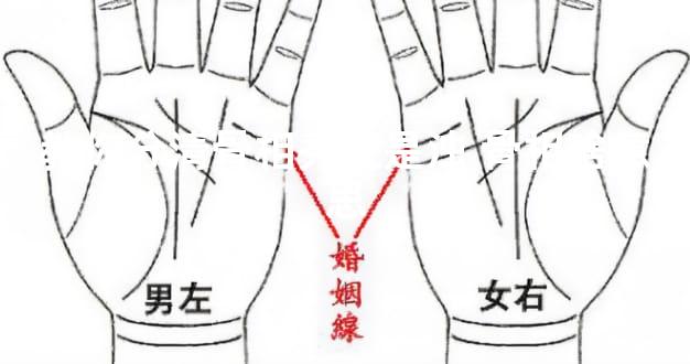 教你分清骨相秀还是浊 骨相啥意思